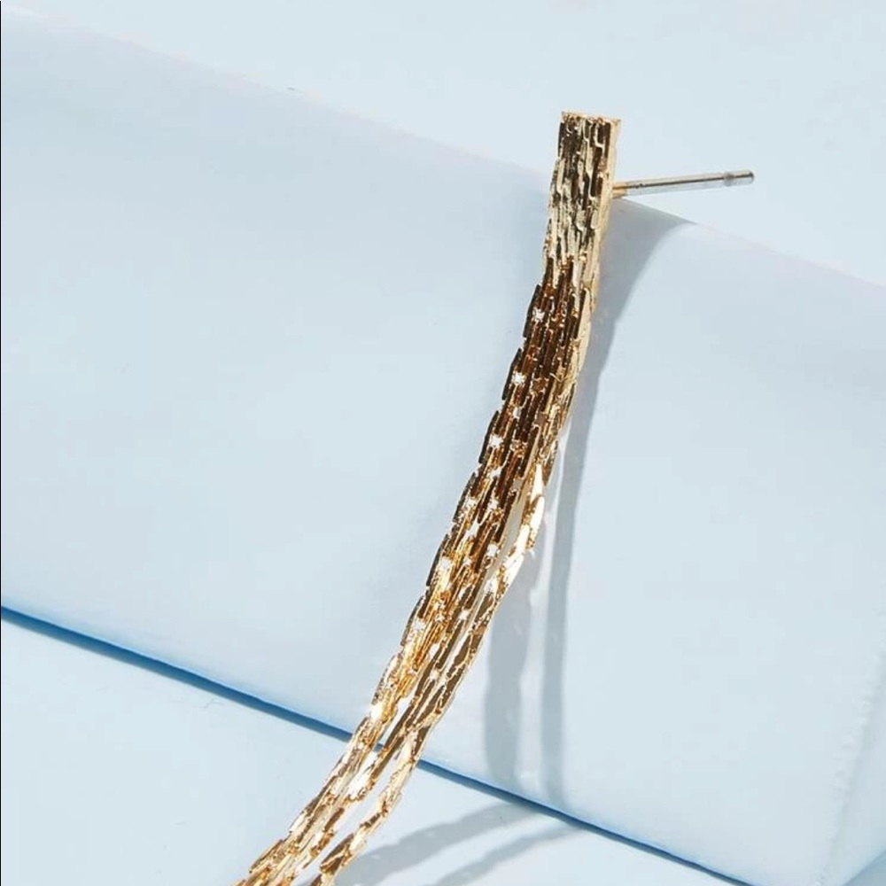 Tassel Drop Earrings - Picture 3 of 4